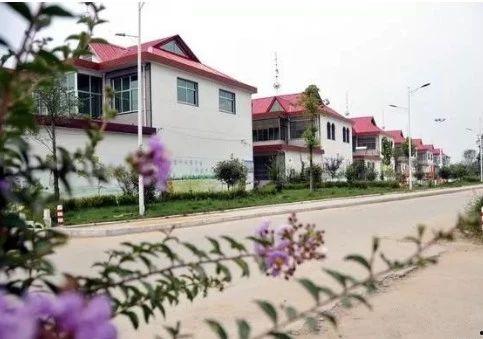 江西房东同村爆料最新消息,揭秘某村惊人内幕！